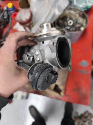 Válvula EGR Delphi 1.9 TDI