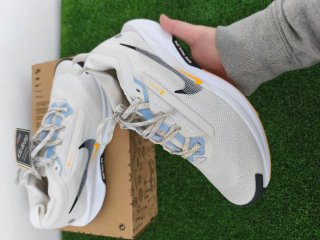 Nike Pegasus Trail 5 Gore-Tex Donna