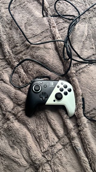 Mando Nintendo Switch Pro Cable Blanco y Negro