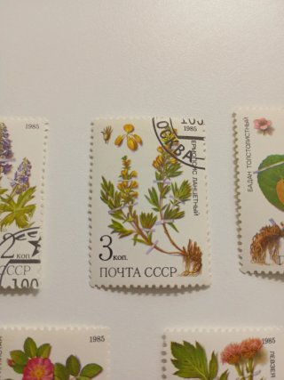 Sellos URSS 1985 Flores