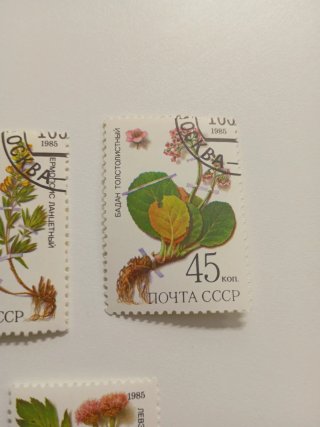 Sellos URSS 1985 Flores