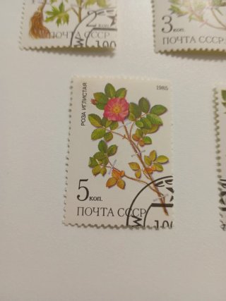 Sellos URSS 1985 Flores
