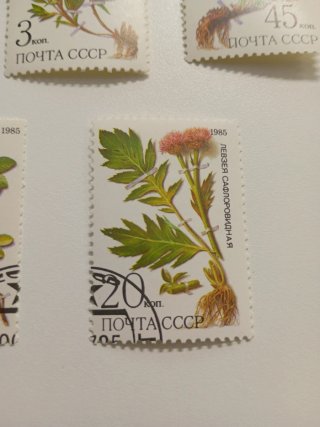Sellos URSS 1985 Flores