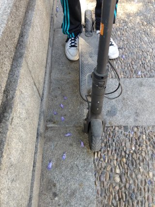Patinete Eléctrico Plegable
