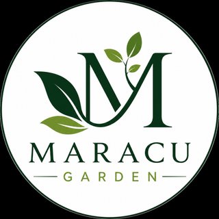 Servicios de jardinería y limpieza a Domicilio