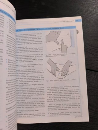 Guía de masaje para terapeutas manuales: Cómo c...