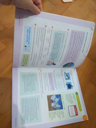Lengua castellana, 5 Primaria