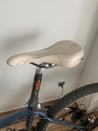 Bicicleta Trek Skye SL Aluminio