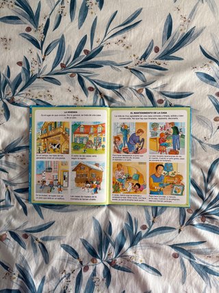 Diccionario por imágenes de la vida de los niños