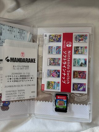 Paper Mario The Thousand Year Door Switch