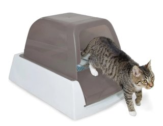 Arenero Eléctrico para Gatos