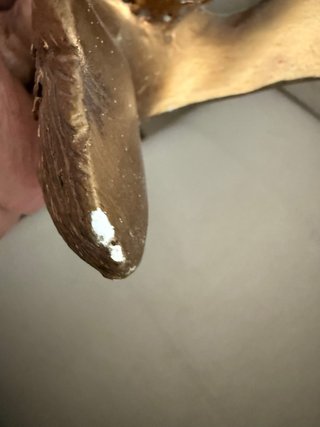 Dos querubines de escayola para colgar