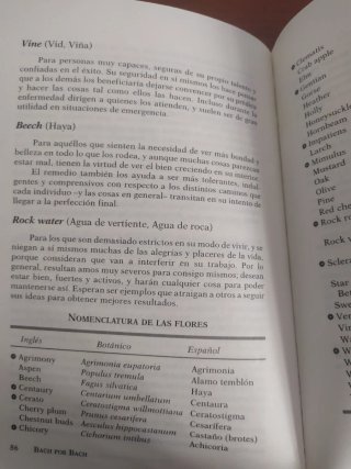 Bach por Bach : obras completas : escritos flor...
