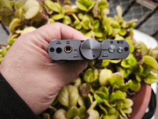 IFI Audio Gryphon xdSD DAC Amplificador