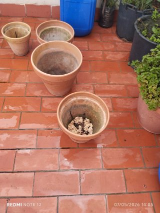 Juego de 4 Macetas Terracota Beige/Marrón