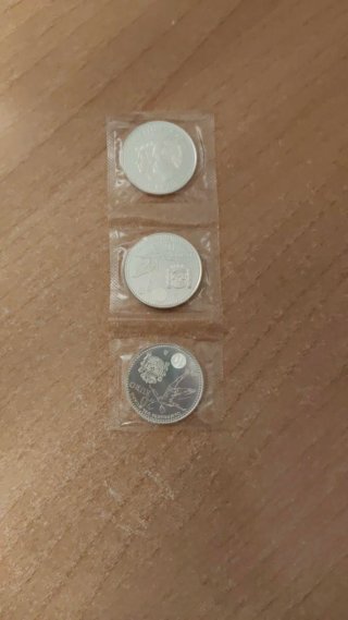 Moneda 20 Euros Plata 2010 Campeones del Mundo