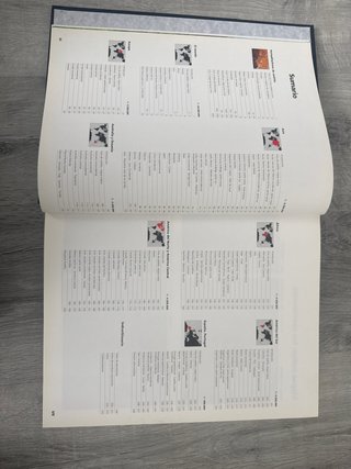 Gran atlas mundial de cuero, 1999