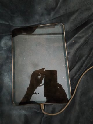 iPad Pro 256 GB Plata