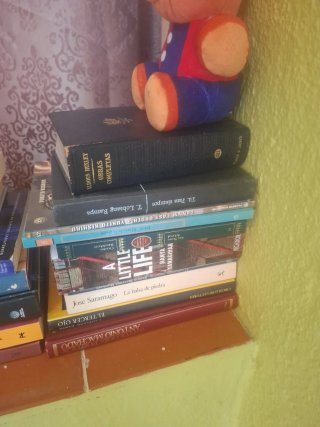 Lote libros