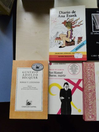 Lote 11 libros literatura clásica ESO/Bachillerato