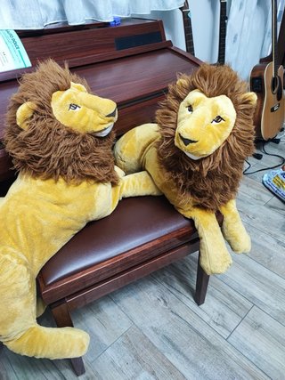 Coppia peluche leoni