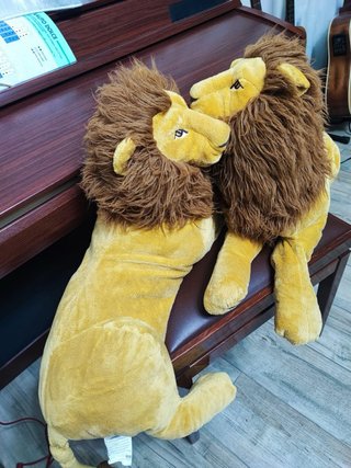 Coppia peluche leoni