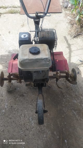 Mulilla mecánica motorizada