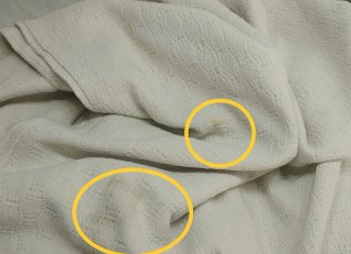 2 Colchas Blancas Zara para Mascotas.
