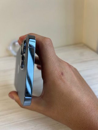 iPhone 13 Pro Max 256GB