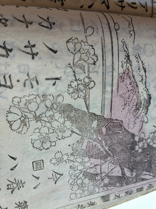 Libro antiguo japonés, texto de colegio 1892