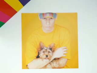 Vinilo Pet Shop Boys - Introspective (1988) LP