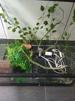 Terrario para mascotas con accesorios