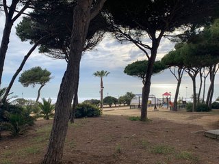 Alquilo piso en conil