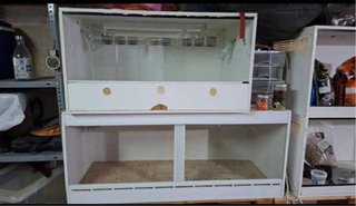 Terrarios para reptiles (2 unidades)