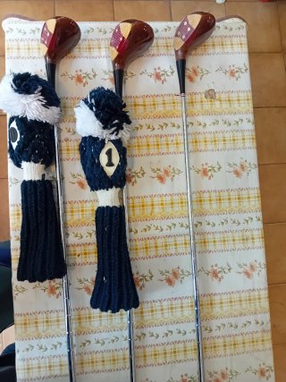 Set de Golf: 10 palos y bolsa