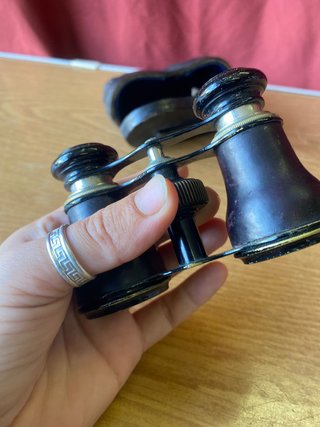 Prismáticos antiguos con funda