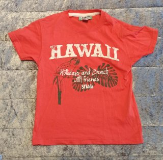 Camiseta manga corta