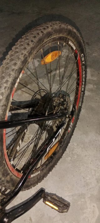 Bicicleta Mondraker Phase