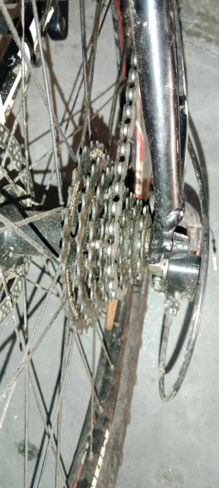 Bicicleta Mondraker Phase
