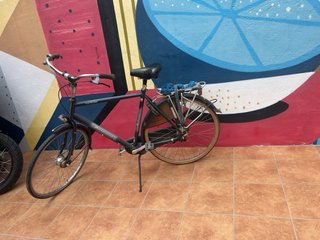 Bicicleta Olandese da Uomo
