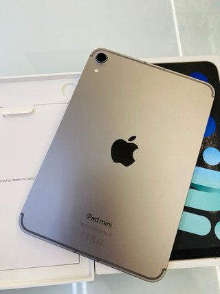 iPad mini 128GB A17 Pro Wifi Celular Plata