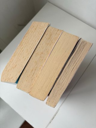 El club de los incomprendidos saga de libros
