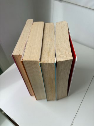 El club de los incomprendidos saga de libros