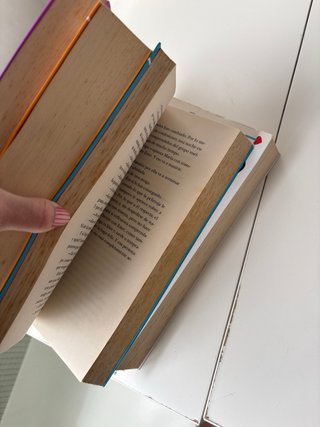 El club de los incomprendidos saga de libros