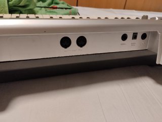 Teclado Casio CTK-496