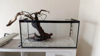 Acuario 210L