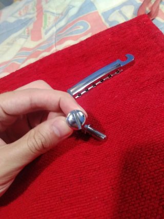 Puente y tornillos guitarra eléctrica