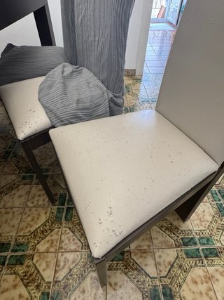 Mesa de comedor y 6 sillas con fundas