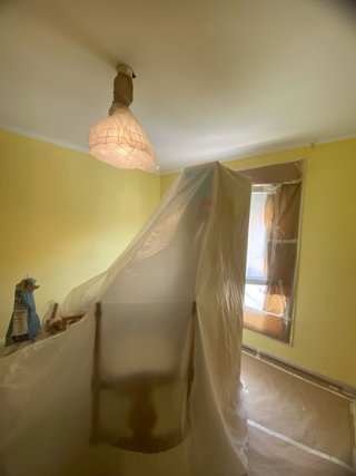 Servicios de pintura profesional