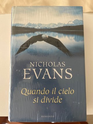 Romanzo